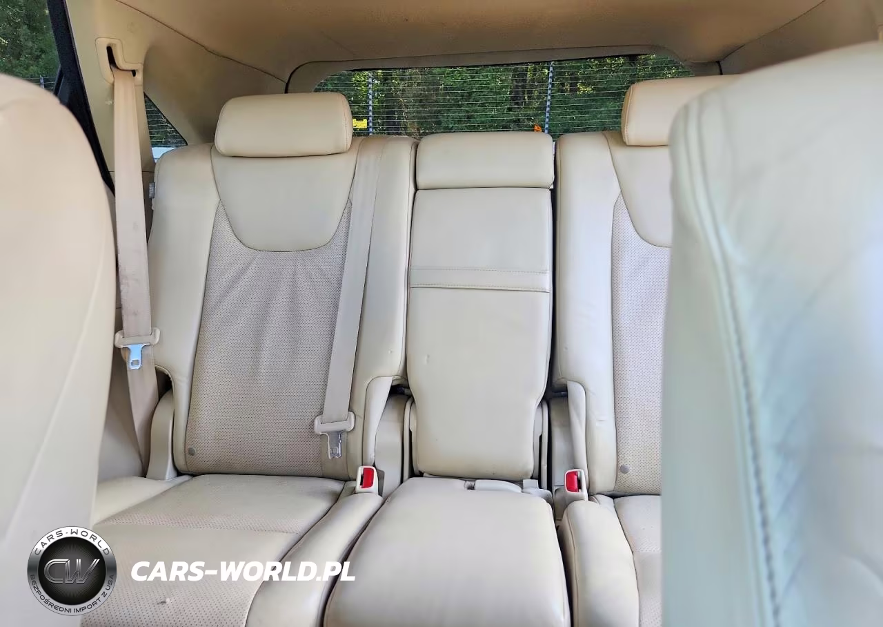 2010 Lexus Rx 350 VIN:JTJZK1BA7A2403697 - 10