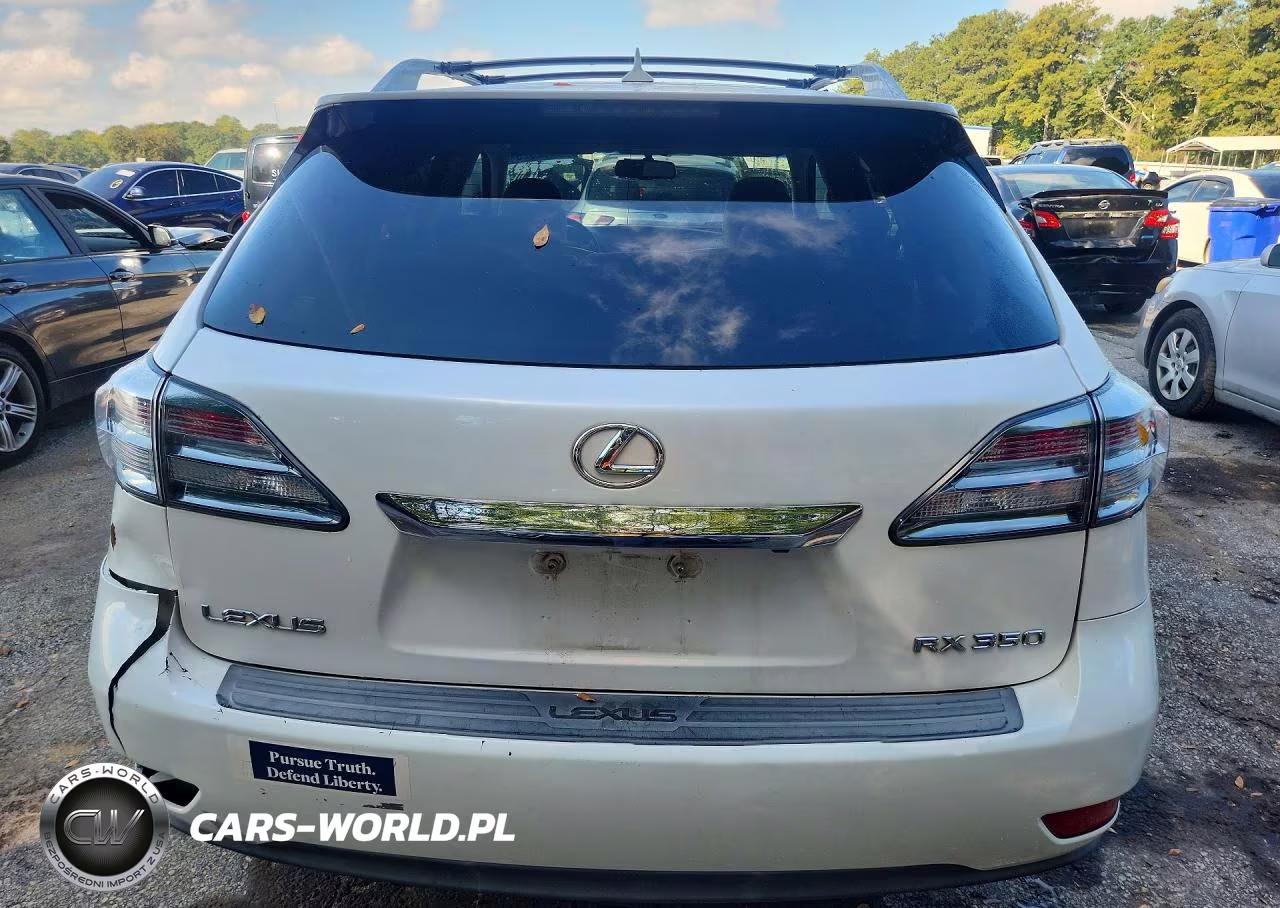 2010 Lexus Rx 350 VIN:JTJZK1BA7A2403697 - 6