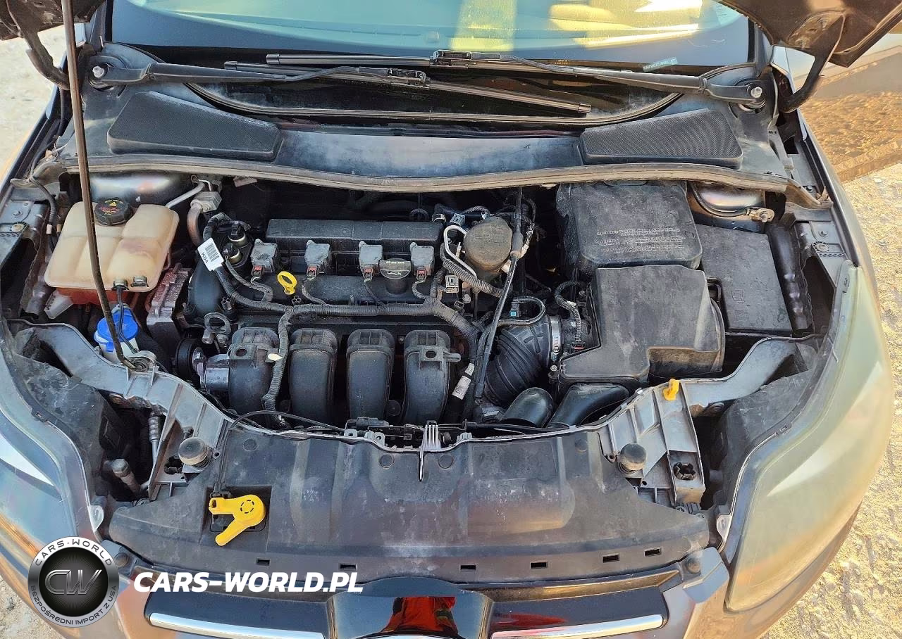2014 Ford Focus Titanium VIN:1FADP3N22EL381001 - 11