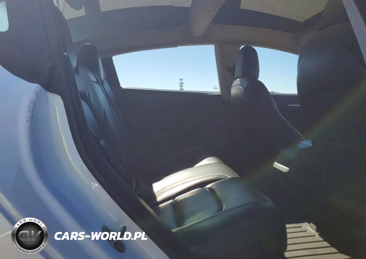 2021 Tesla Model 3 VIN:5YJ3E1EA5MF030253 - 10