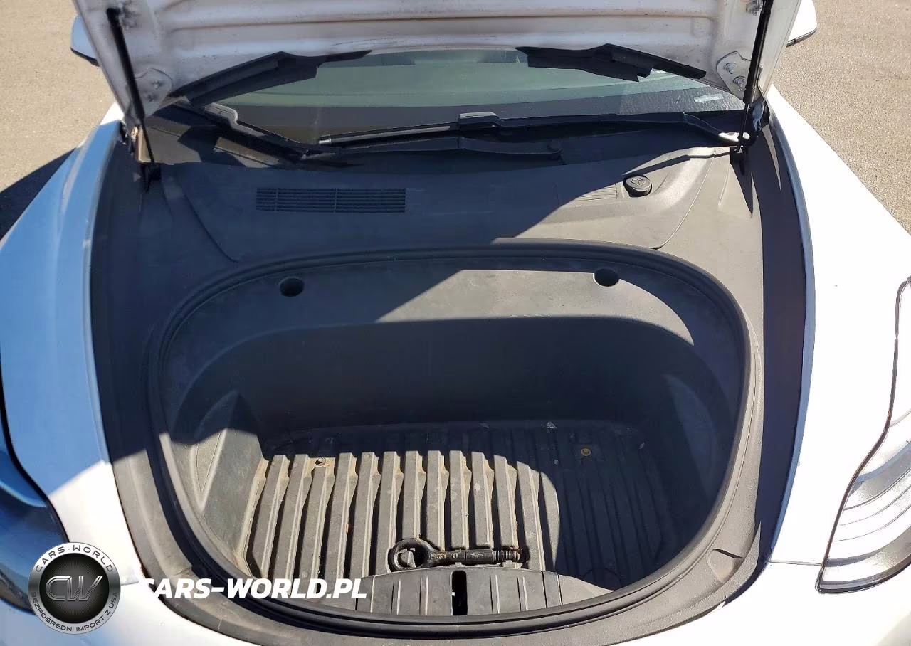 2021 Tesla Model 3 VIN:5YJ3E1EA5MF030253 - 11