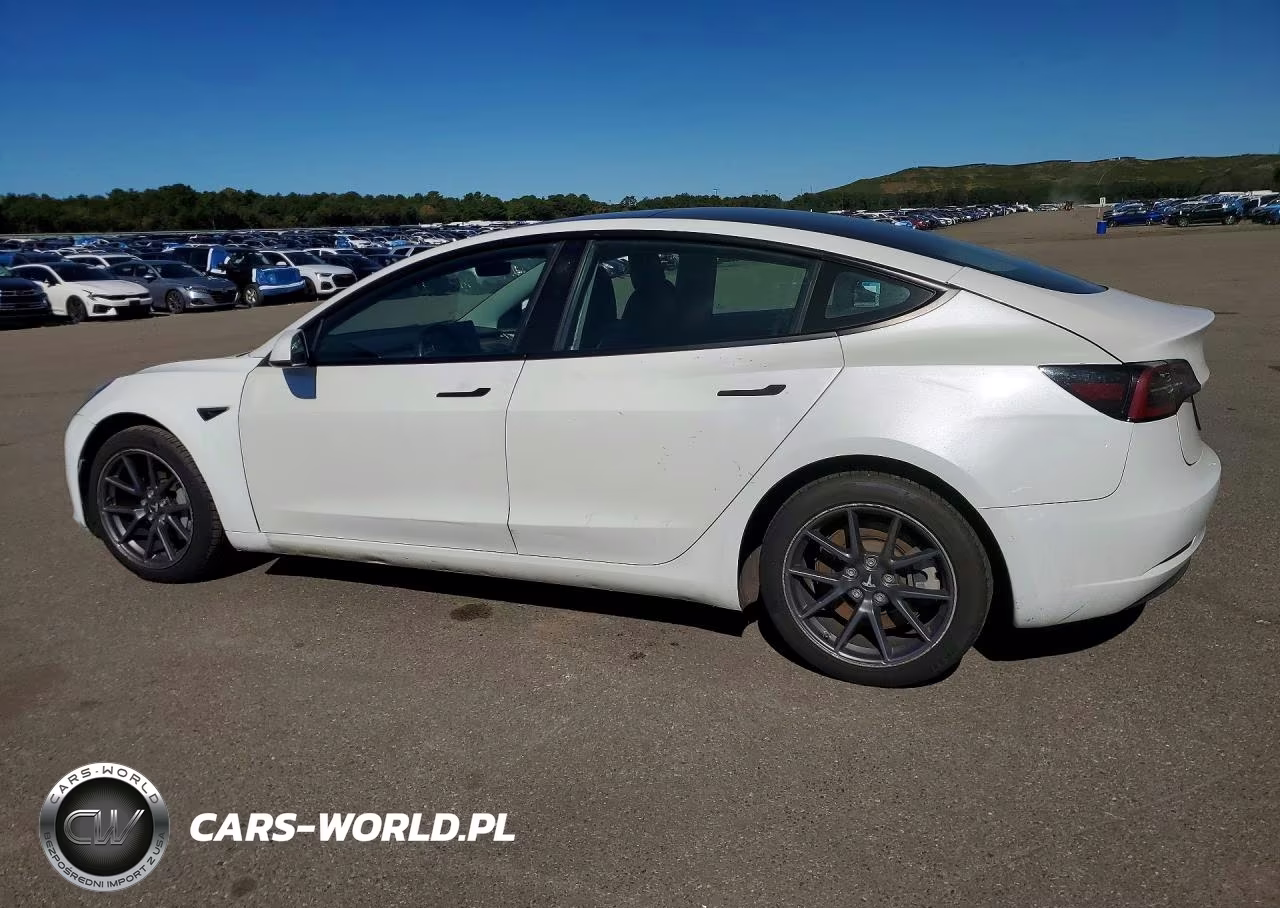 2021 Tesla Model 3 VIN:5YJ3E1EA5MF030253 - 2