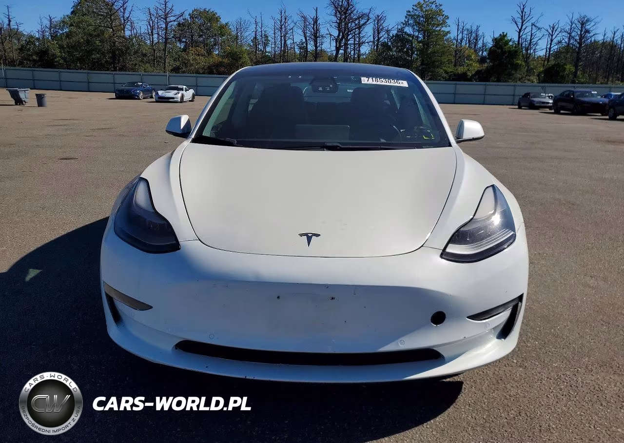 2021 Tesla Model 3 VIN:5YJ3E1EA5MF030253 - 5