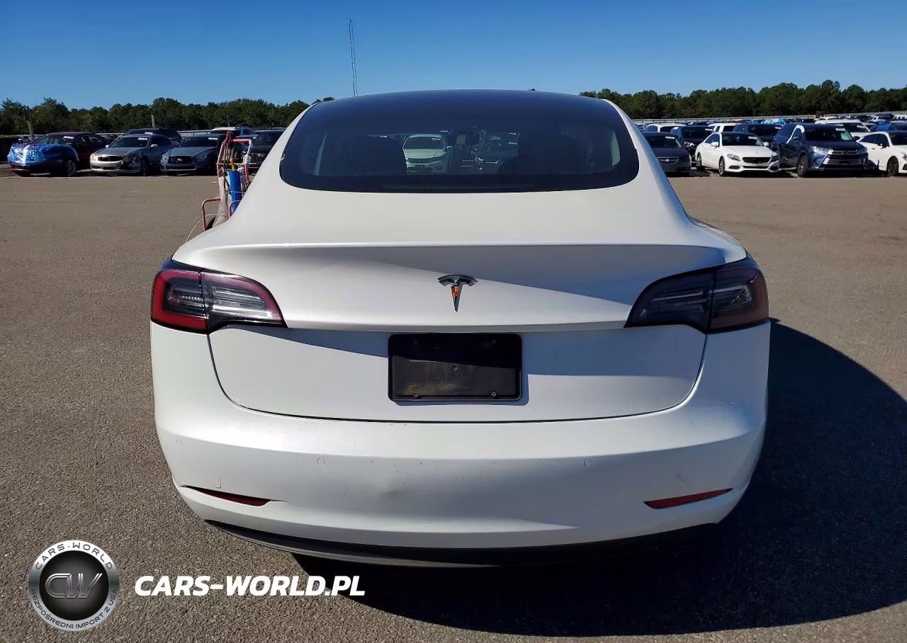 2021 Tesla Model 3 VIN:5YJ3E1EA5MF030253 - 6