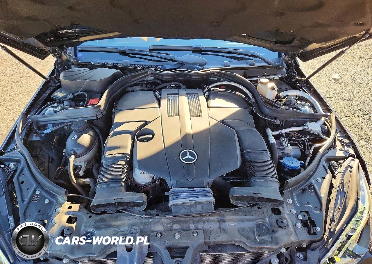 2016 Mercedes-Benz E 400 VIN:WDDKK6FF4GF341013 - 11