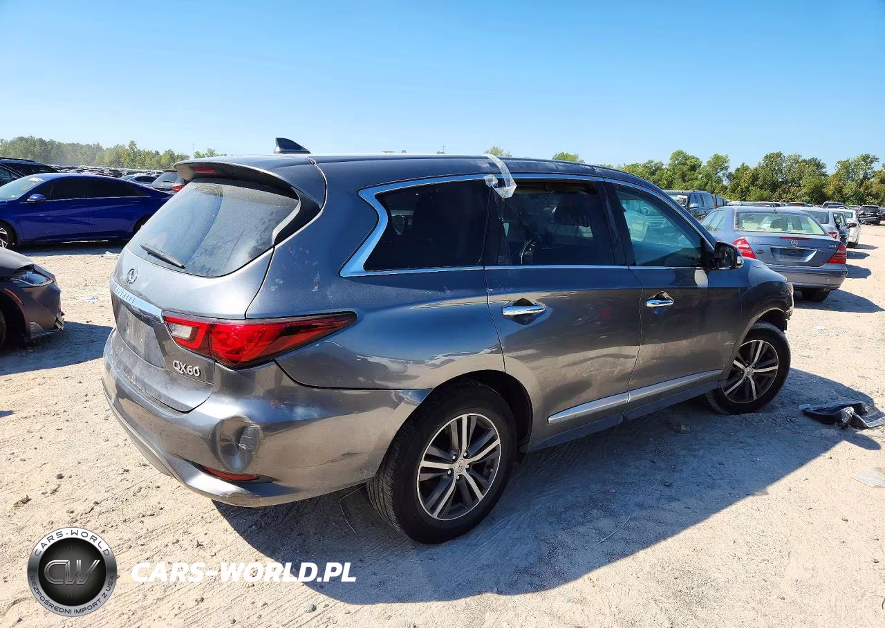 2020 Infiniti Qx60 Pure VIN:5N1DL0MN6LC528803 - 3