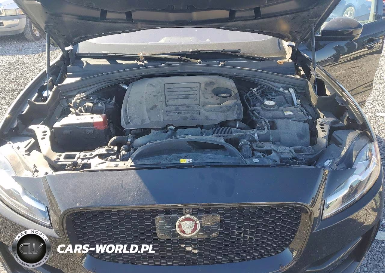 2019 Jaguar F-Pace R - Sport VIN:SADCL2FX3KA369022 - 12