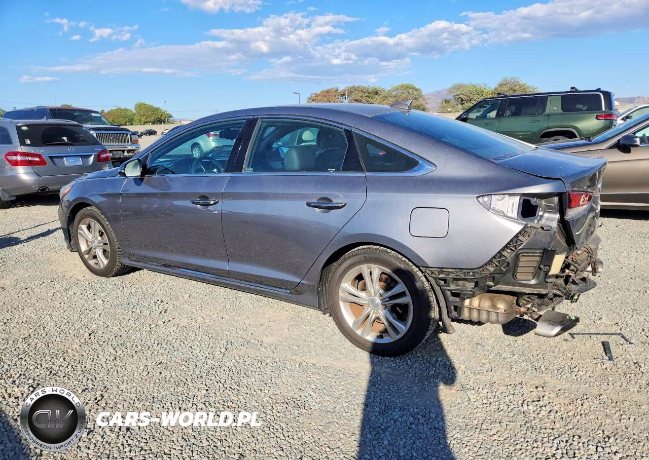 2018 Hyundai Sonata Sport+ VIN:5NPE34AFXJH704962 - 2