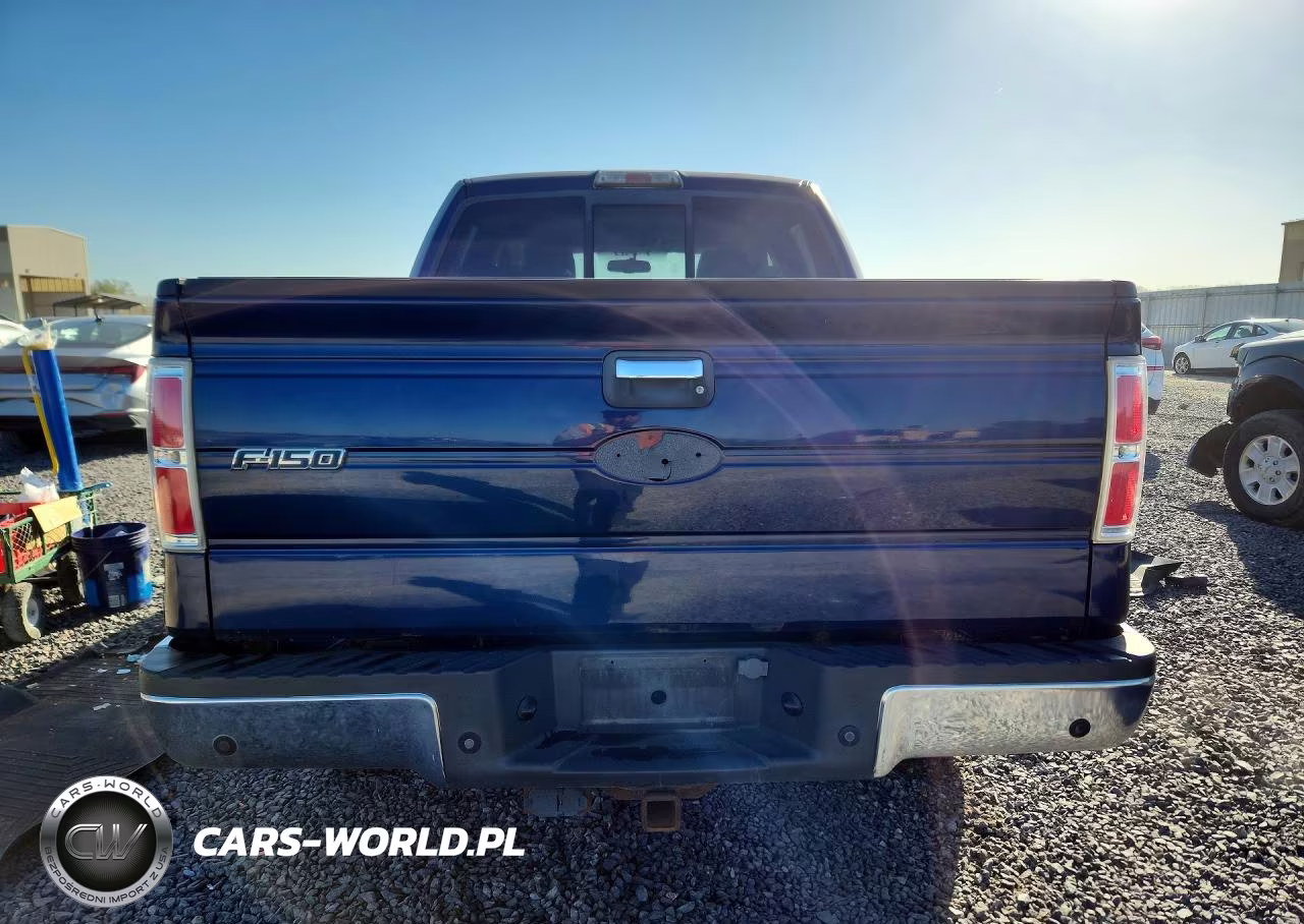 2009 Ford F150 Supercrew VIN:1FTPW14V09FA86056 - 6