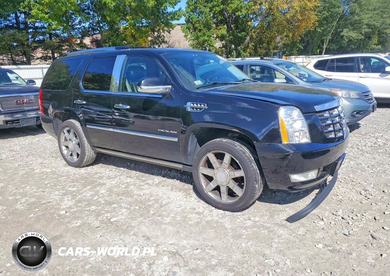 2011 Cadillac Escalade Premium VIN:1GYS4CEF6BR102293 - 4
