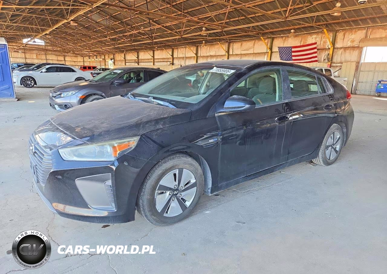 2019 Hyundai Ioniq Blue VIN:KMHC65LC5KU166083 - 1