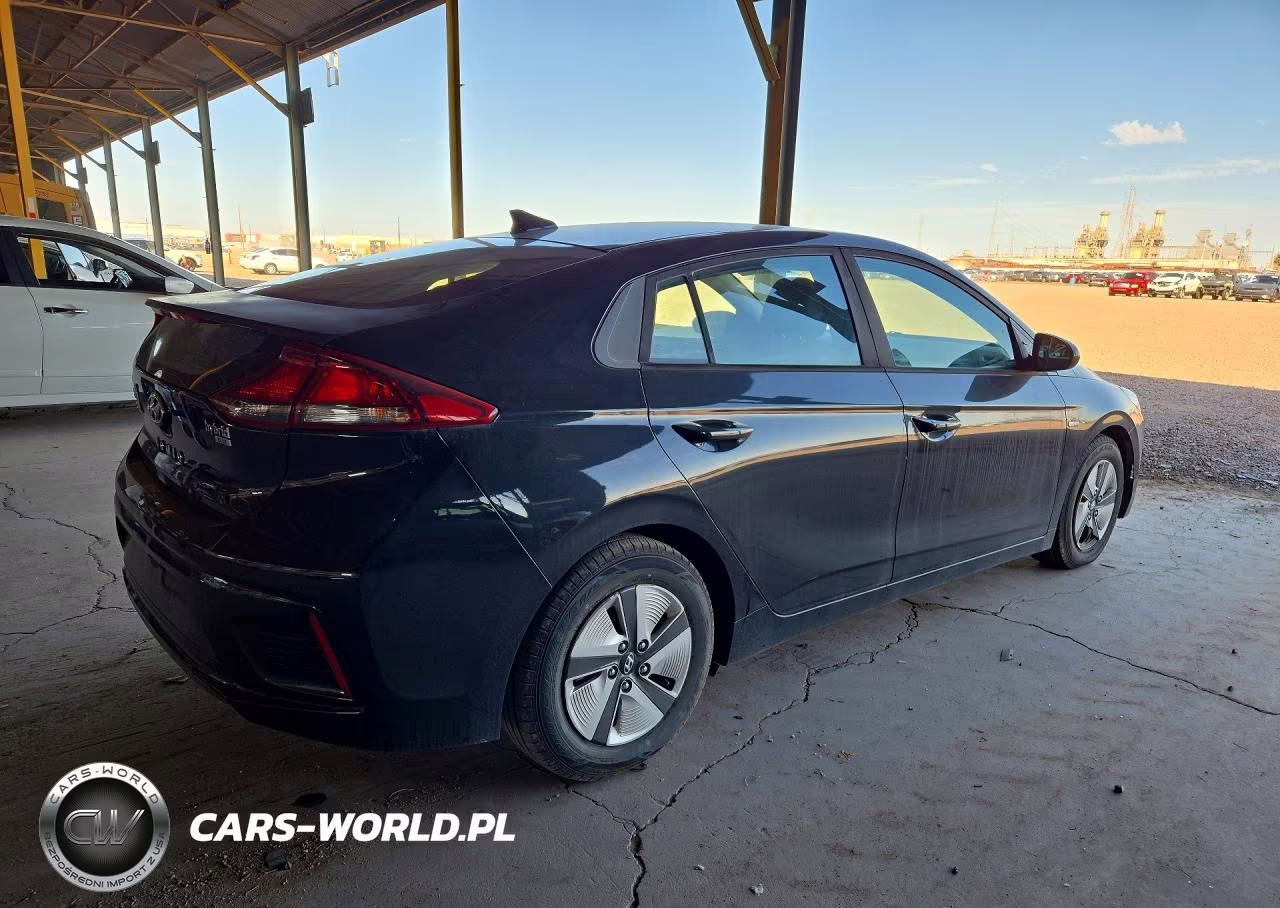 2019 Hyundai Ioniq Blue VIN:KMHC65LC5KU166083 - 3