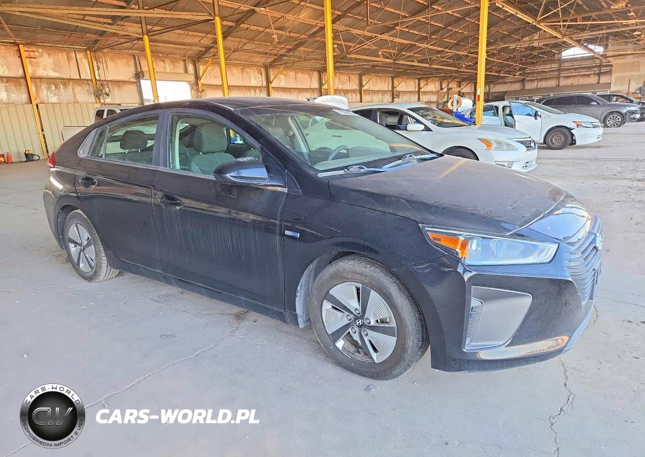 2019 Hyundai Ioniq Blue VIN:KMHC65LC5KU166083 - 4