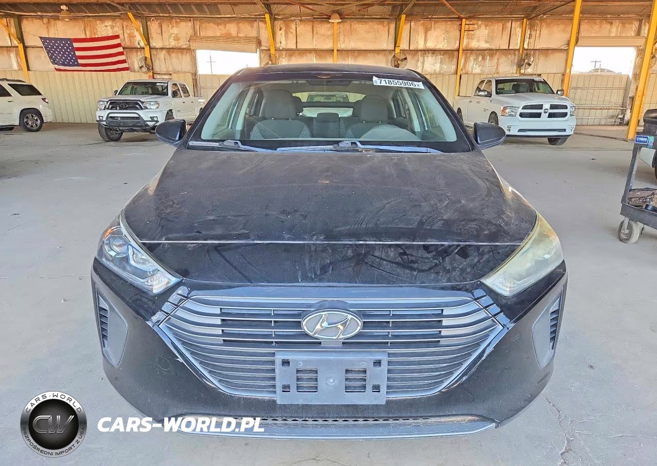 2019 Hyundai Ioniq Blue VIN:KMHC65LC5KU166083 - 5