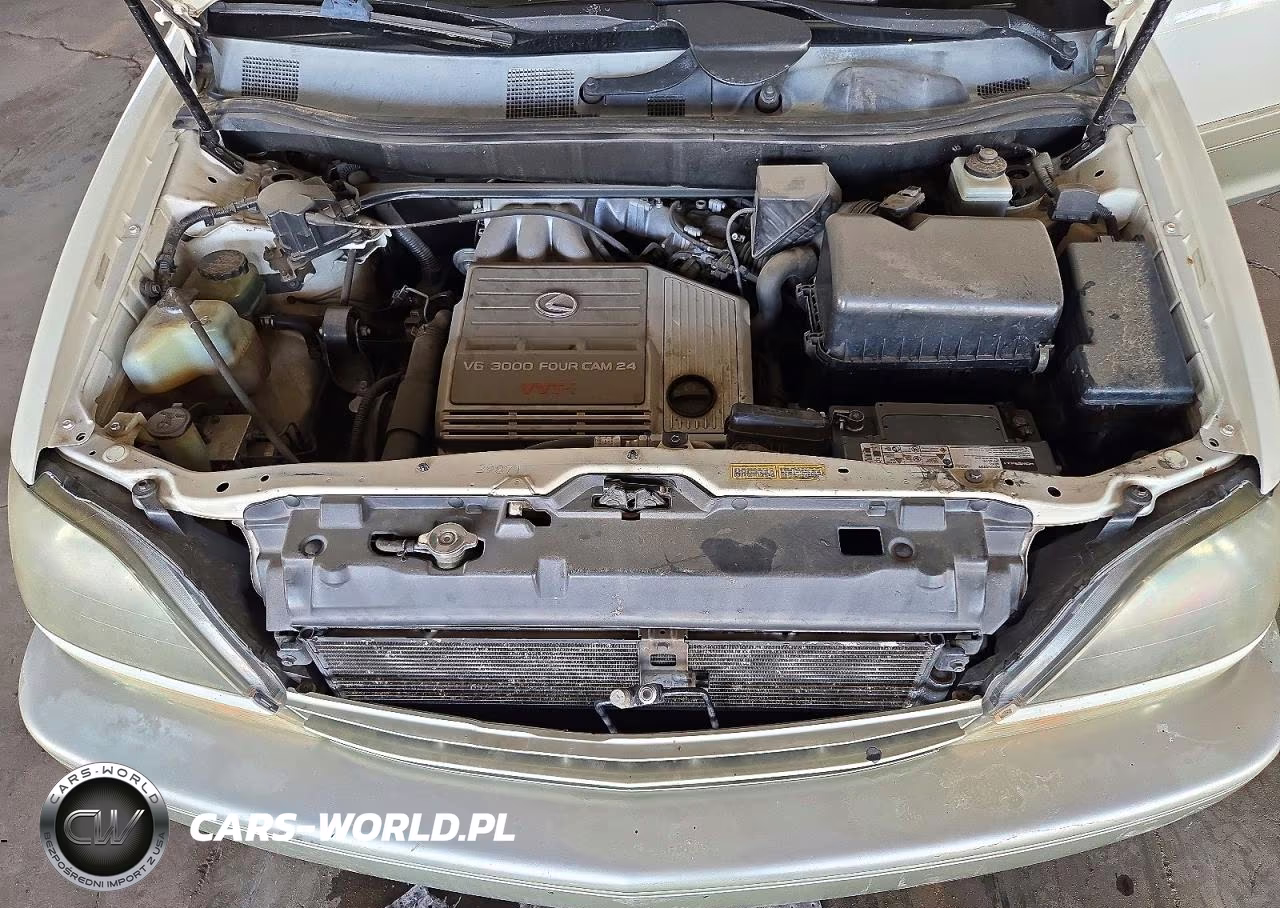 2000 Lexus Rx 300 VIN:JT6GF10U0Y0076195 - 12