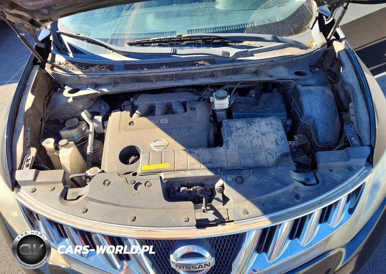 2010 Nissan Murano VIN:JN8AZ1MU6AW016896 - 11