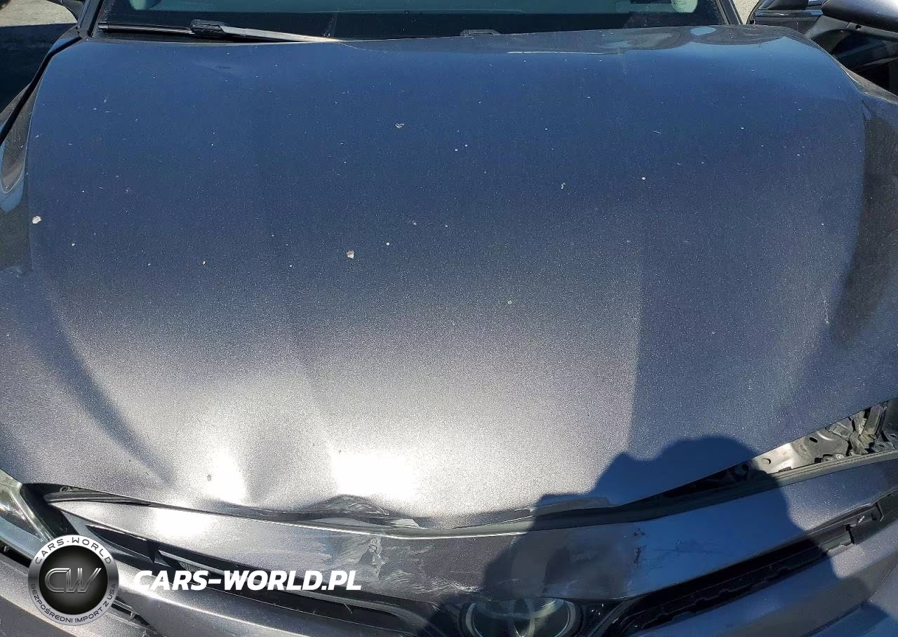 2019 Toyota Camry Le VIN:4T1B11HK4KU803970 - 11