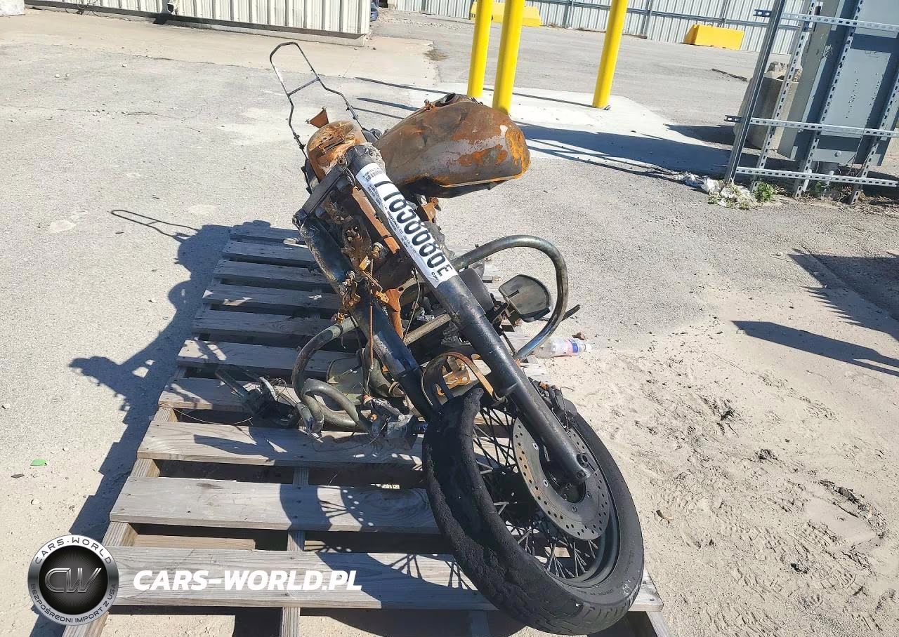 2001 Honda Vt750 Cd2 VIN:JH2RC44691M452602 - 2