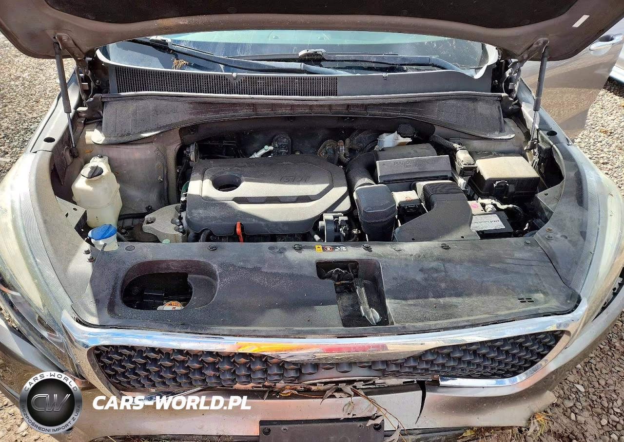 2017 Kia Sorento Lx VIN:5XYPGDA30HG265145 - 12