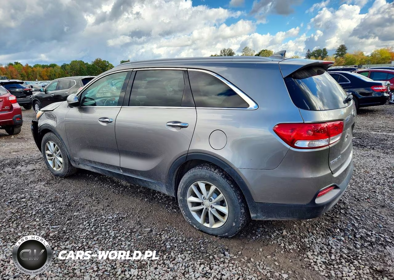 2017 Kia Sorento Lx VIN:5XYPGDA30HG265145 - 2