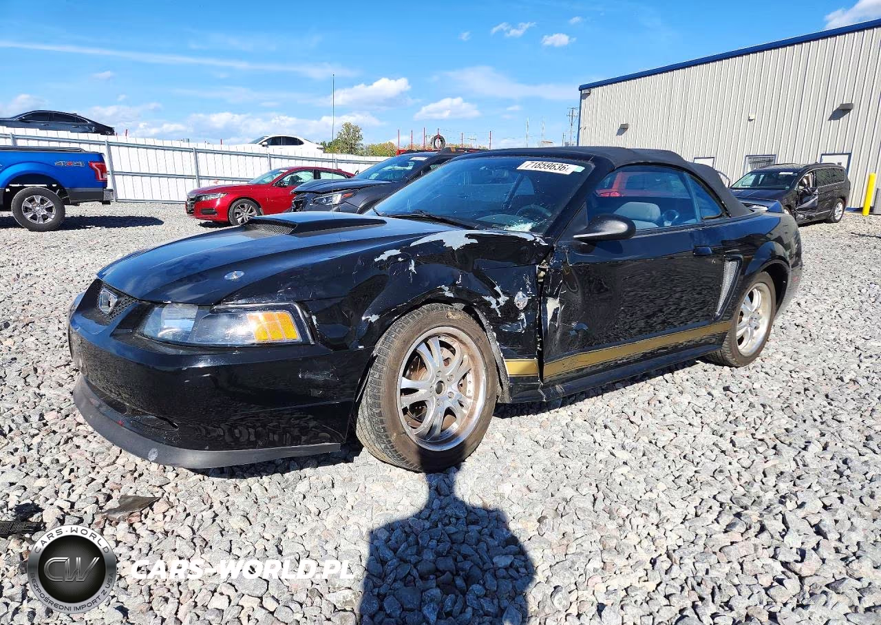 1999 Ford Mustang VIN:1FAFP444XXF144050 - 1