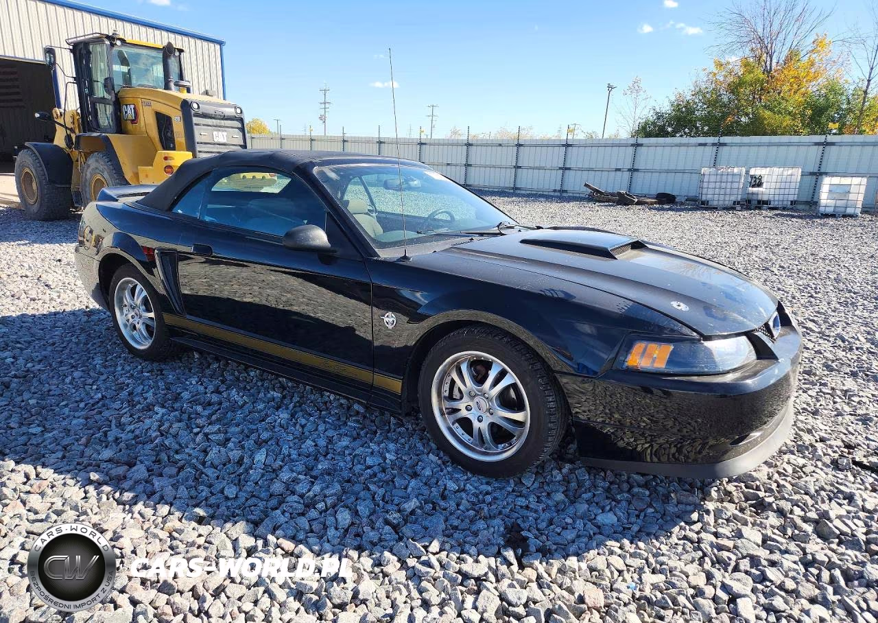 1999 Ford Mustang VIN:1FAFP444XXF144050 - 4