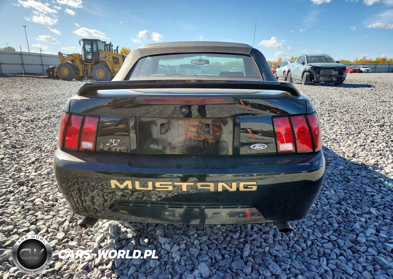 1999 Ford Mustang VIN:1FAFP444XXF144050 - 6