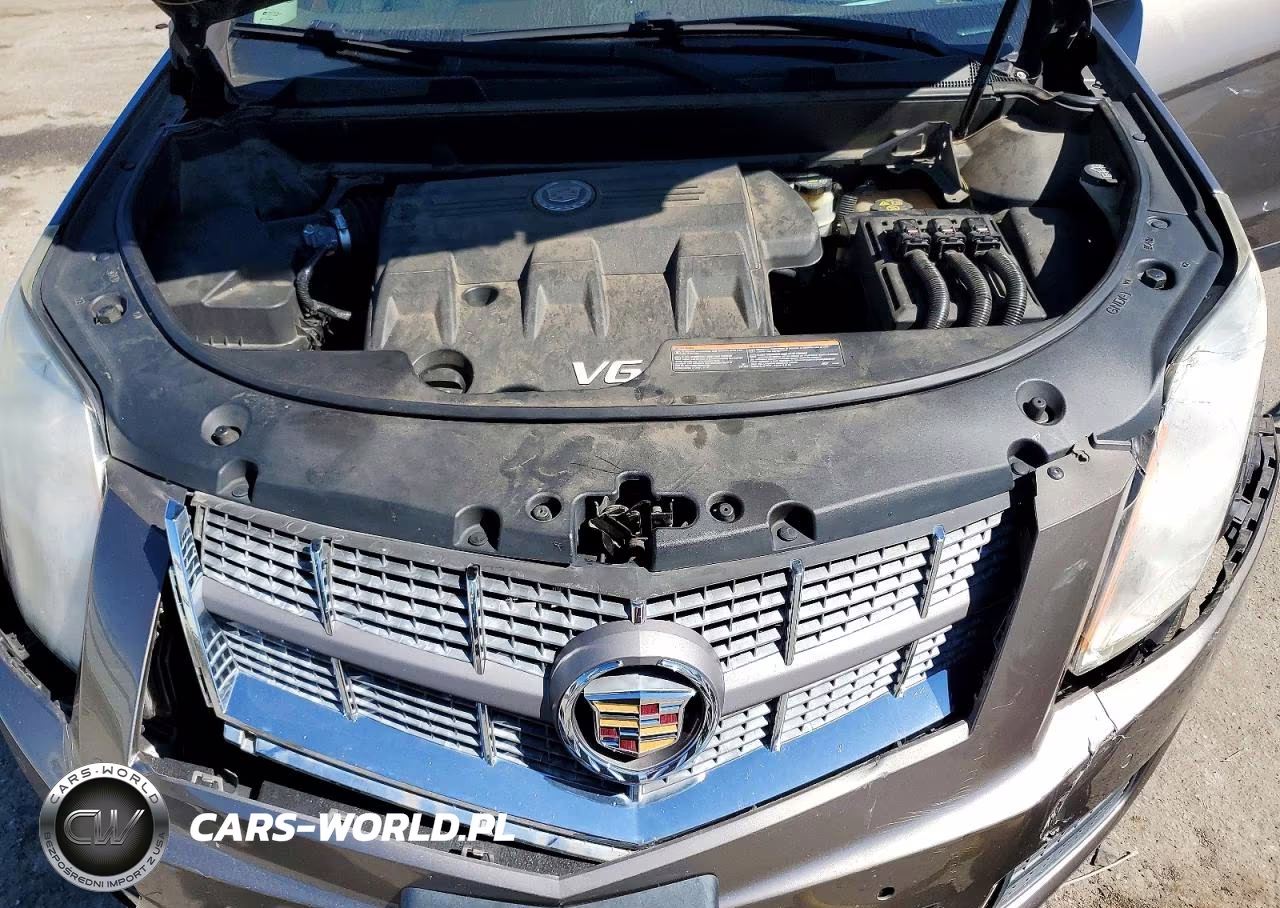 2012 Cadillac Srx Luxury Collection VIN:3GYFNAE36CS515936 - 12