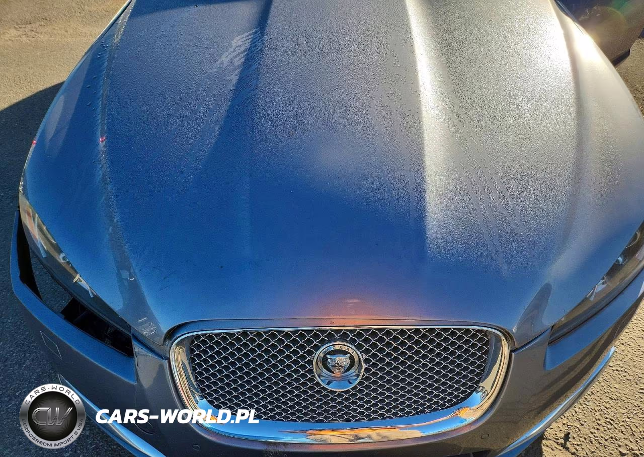 2013 Jaguar Xf VIN:SAJWA0E77D8S65584 - 11