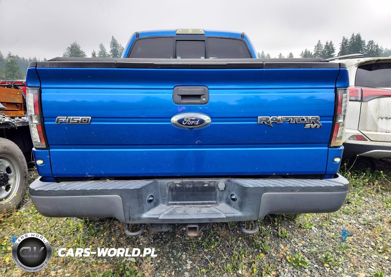 2011 Ford F150 Svt Raptor VIN:1FTFW1R69BFC08612 - 6