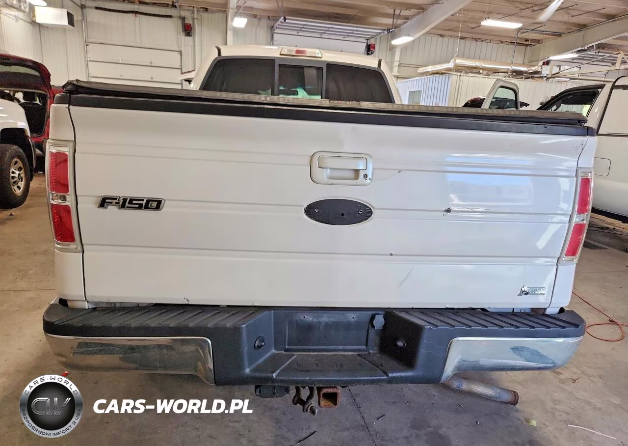 2010 Ford F150 Supercrew VIN:1FTFW1EV5AKC36863 - 6