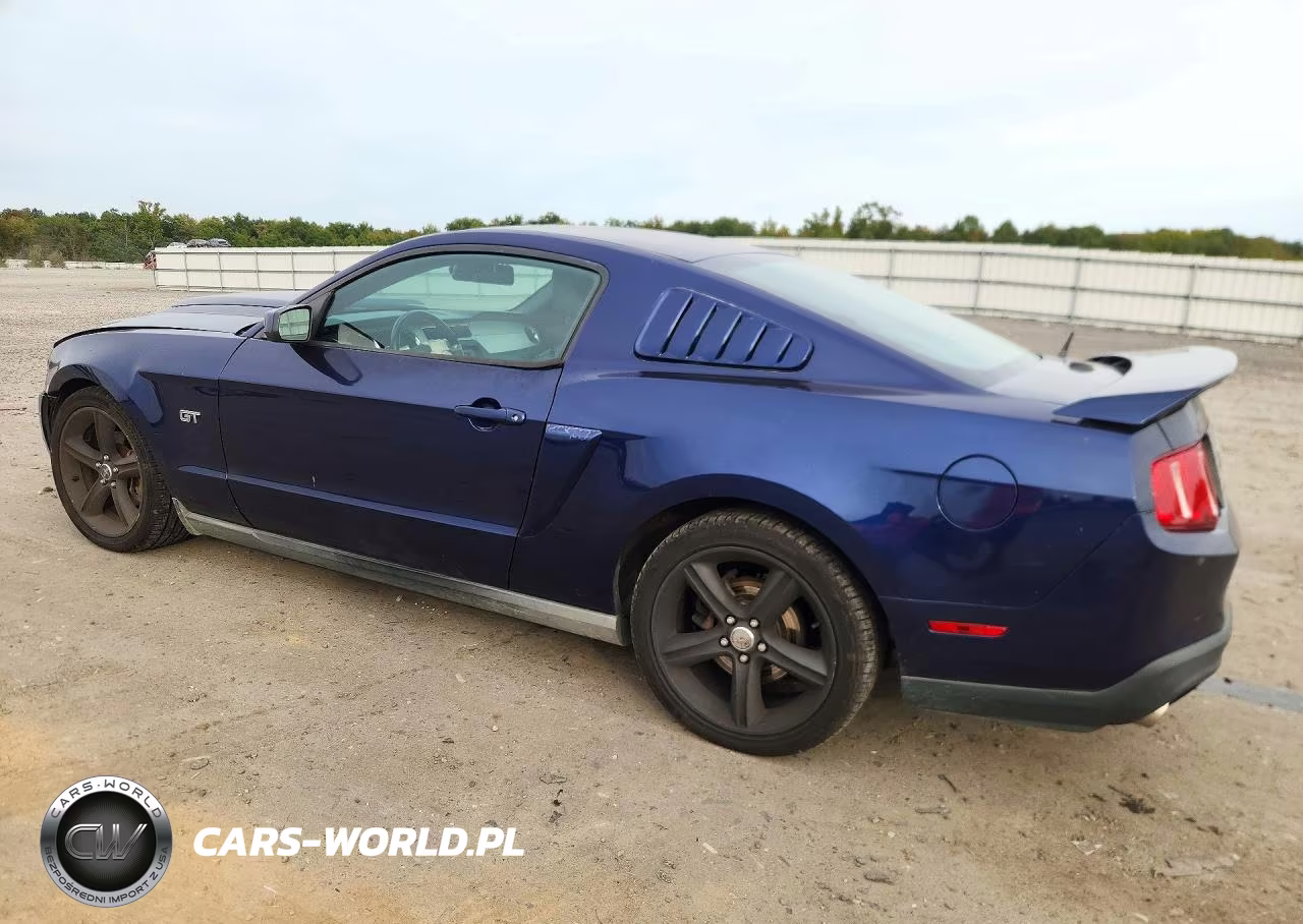 2010 Ford Mustang Gt VIN:1ZVBP8CH7A5171303 - 2