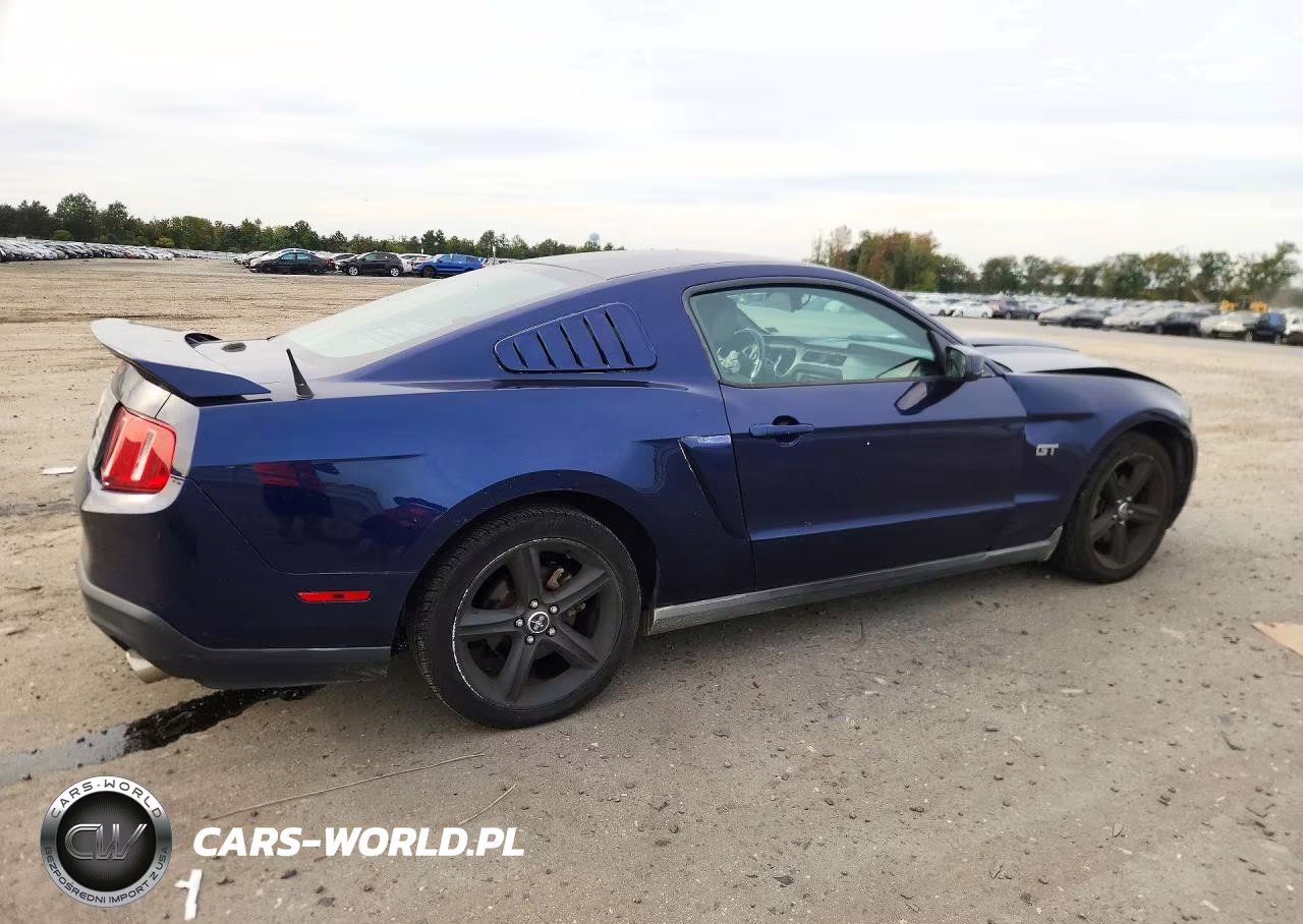 2010 Ford Mustang Gt VIN:1ZVBP8CH7A5171303 - 3