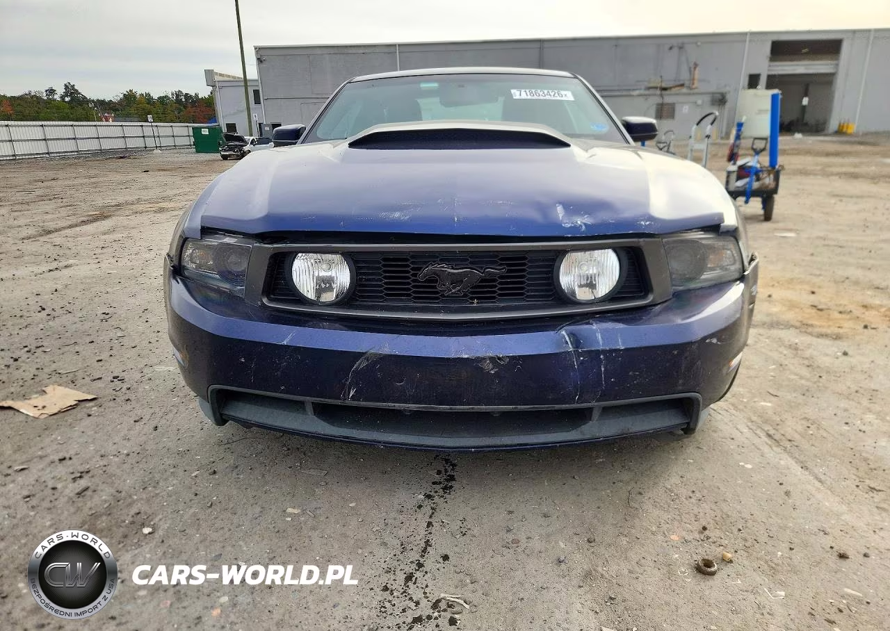 2010 Ford Mustang Gt VIN:1ZVBP8CH7A5171303 - 5