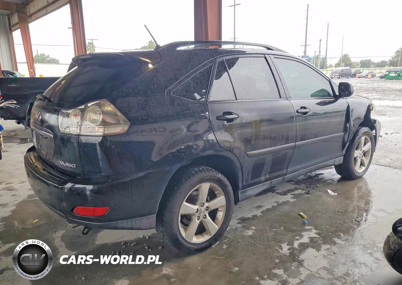 2007 Lexus Rx 350 VIN:2T2HK31U17C043807 - 3