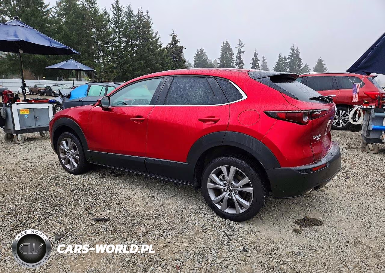 2021 Mazda Cx-30 Select VIN:3MVDMBBLXMM318640 - 2