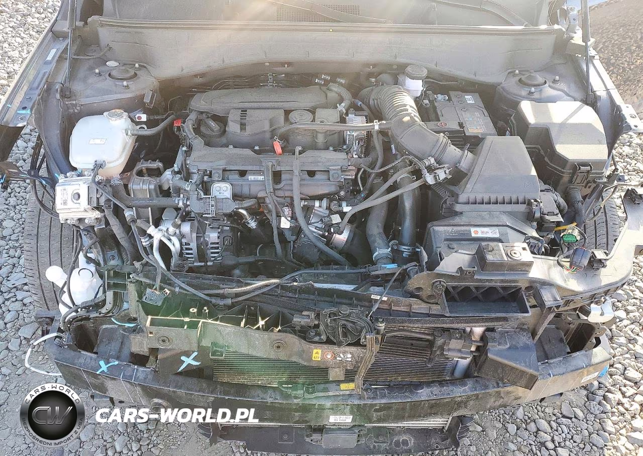 2024 Hyundai Kona Limited VIN:KM8HECA36RU089010 - 12