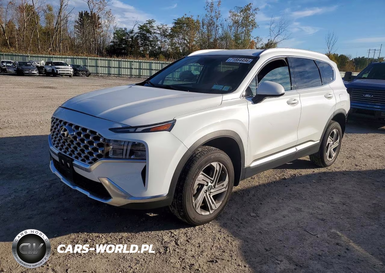 2022 Hyundai Santa Fe Sel VIN:5NMS2DAJ1NH461314 - 1