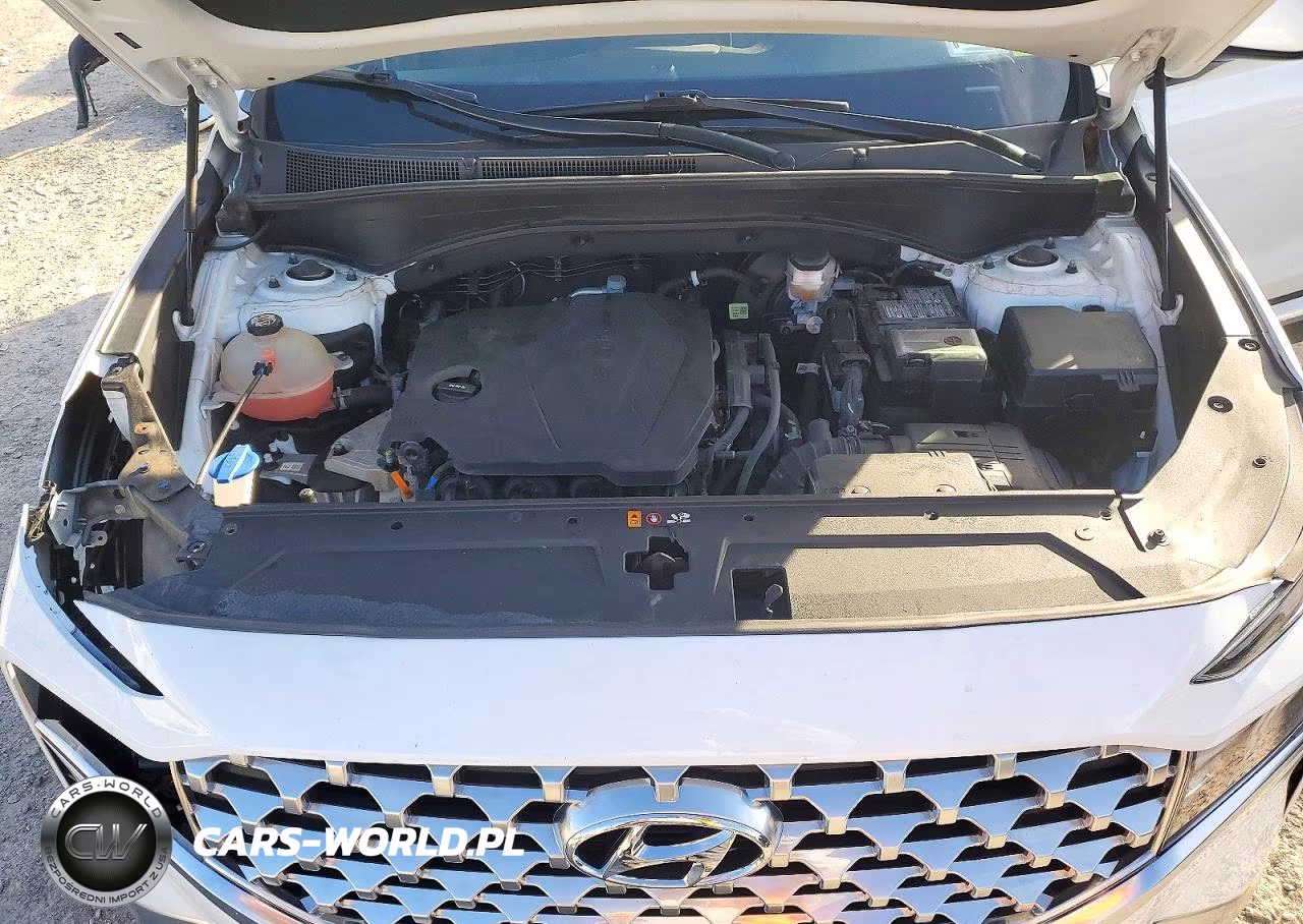 2022 Hyundai Santa Fe Sel VIN:5NMS2DAJ1NH461314 - 12