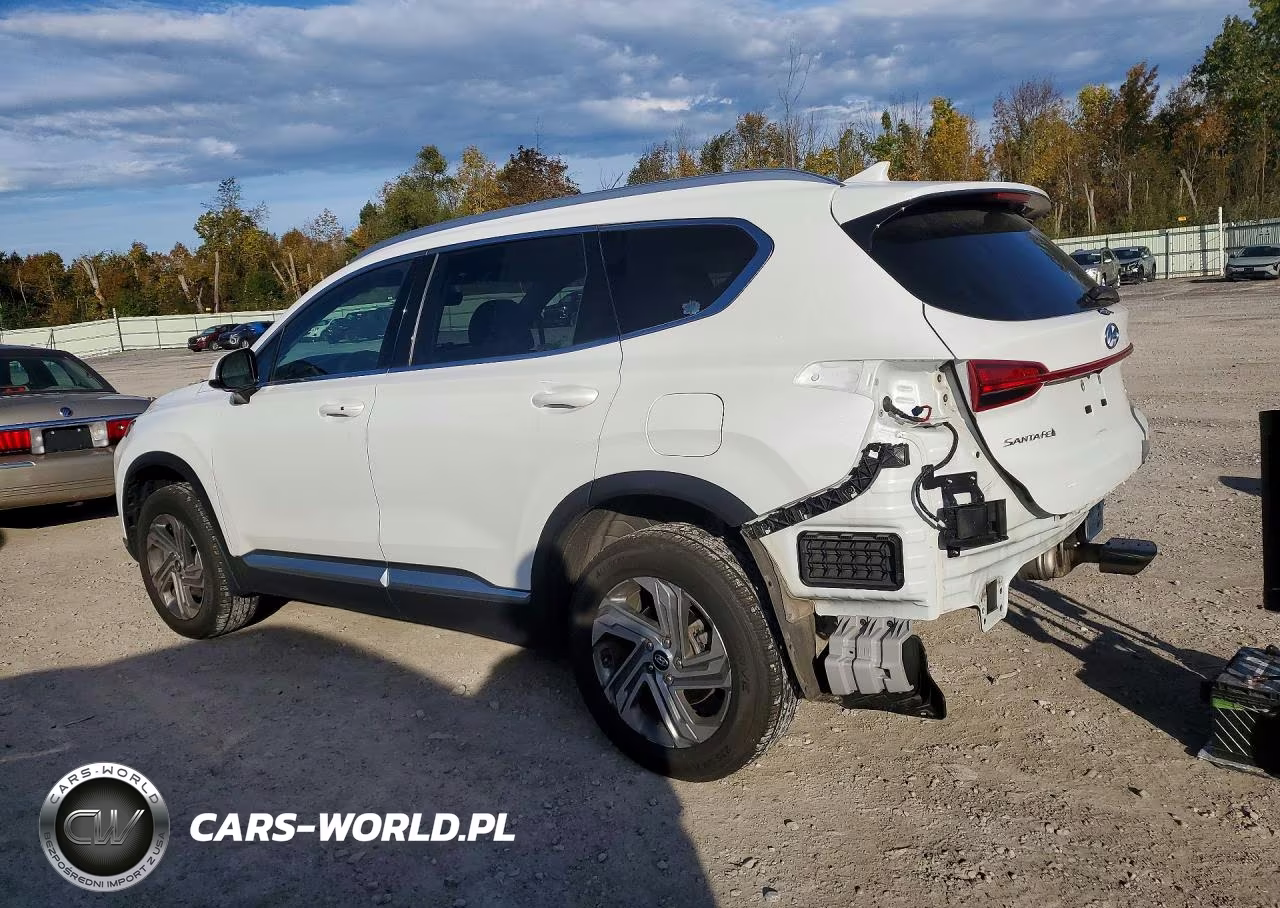 2022 Hyundai Santa Fe Sel VIN:5NMS2DAJ1NH461314 - 2