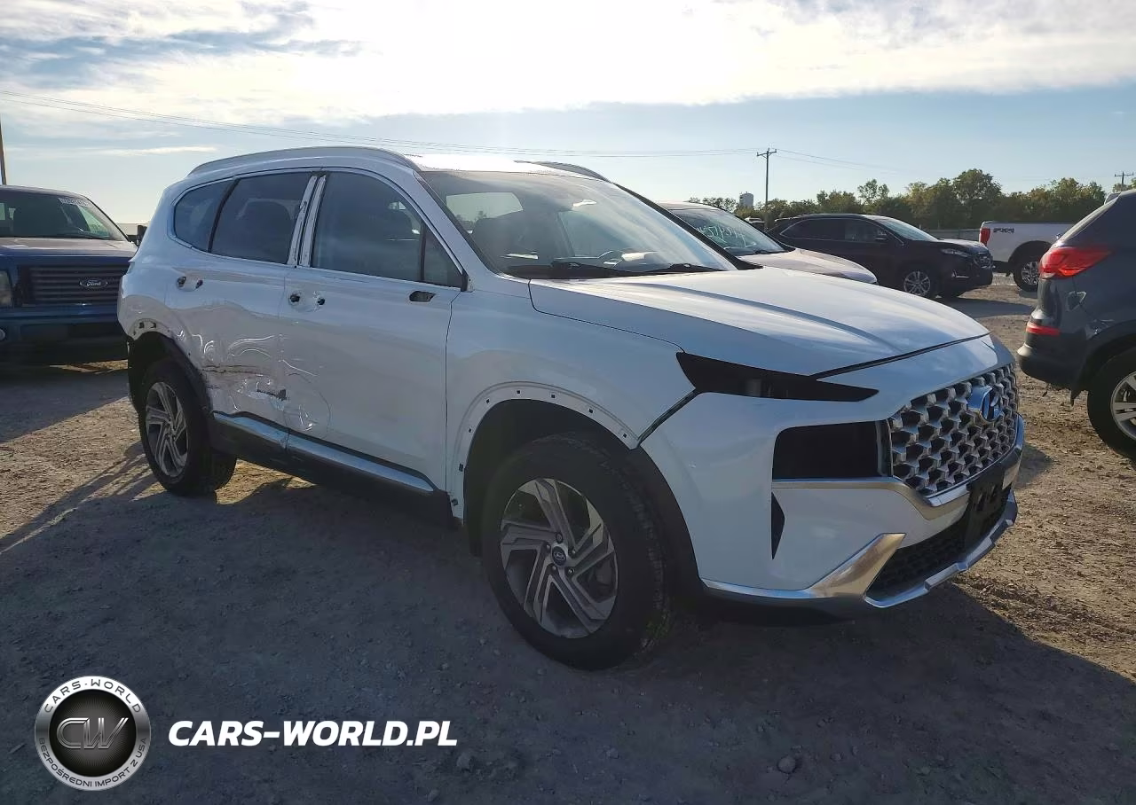 2022 Hyundai Santa Fe Sel VIN:5NMS2DAJ1NH461314 - 4