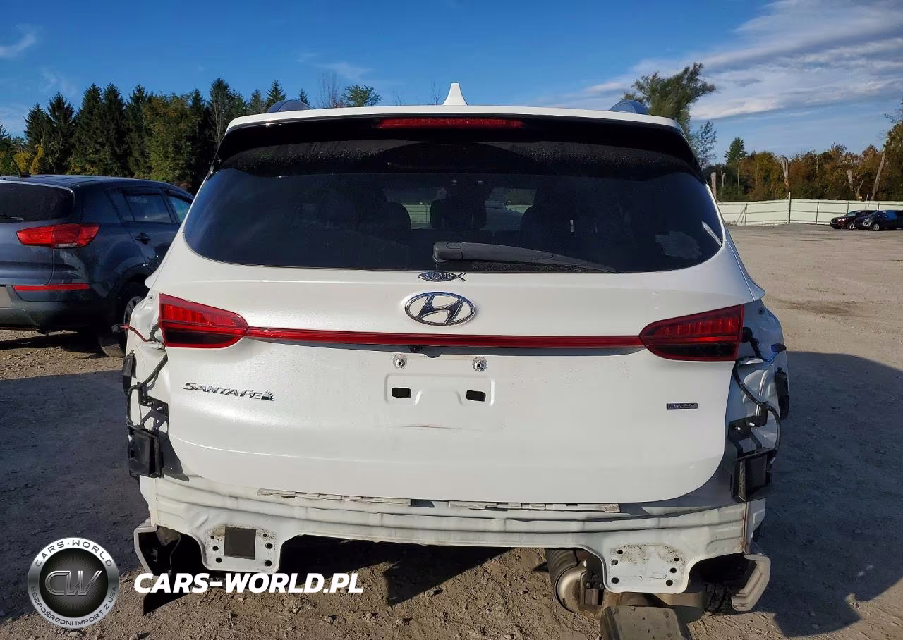 2022 Hyundai Santa Fe Sel VIN:5NMS2DAJ1NH461314 - 6