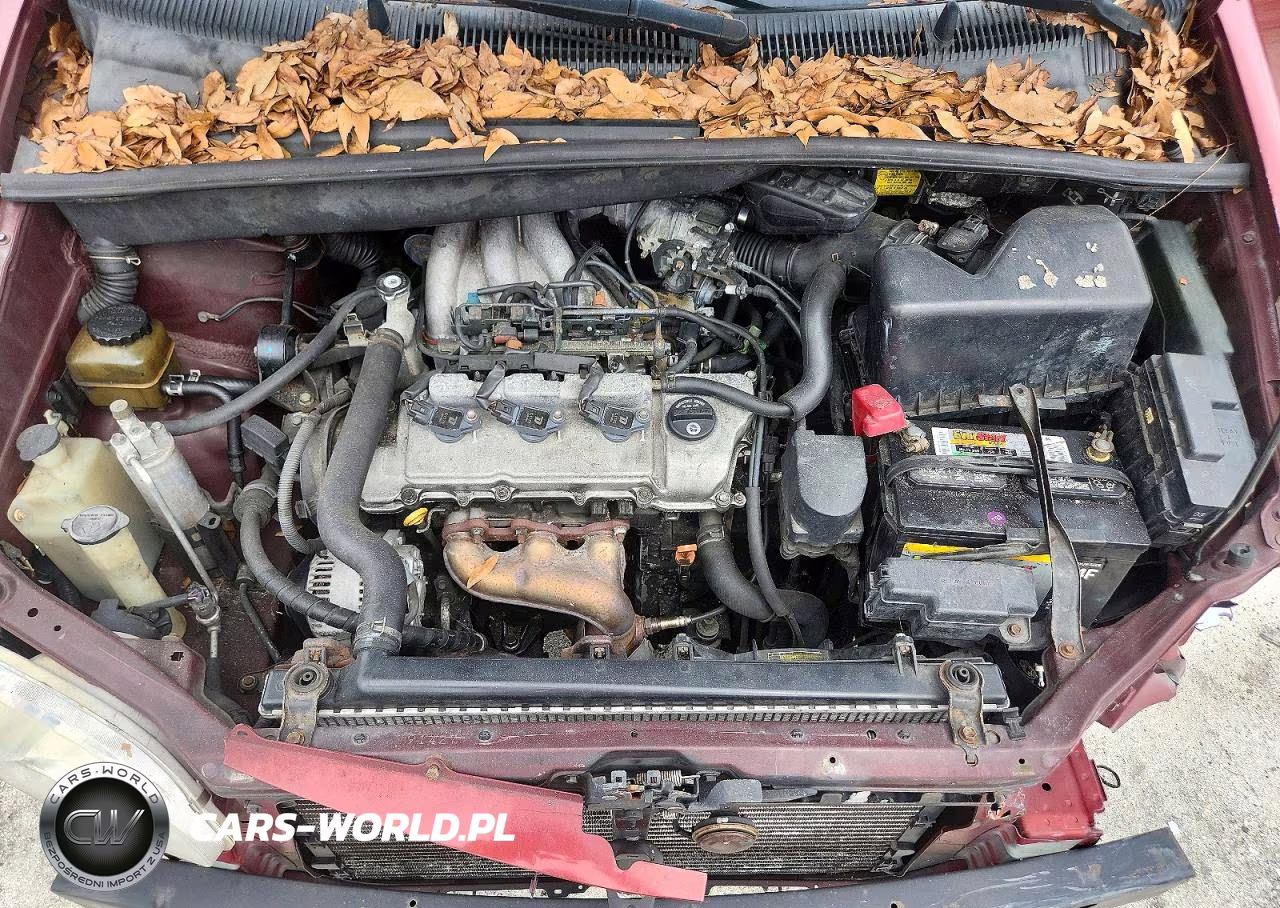 2002 Toyota Sienna Ce VIN:4T3ZF19C52U491236 - 12