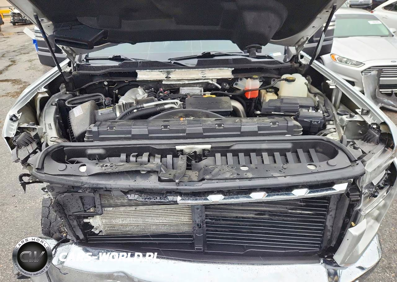 2020 Chevrolet Silverado K2500 Heavy Duty Ltz VIN:1GC4YPEY2LF142241 - 11