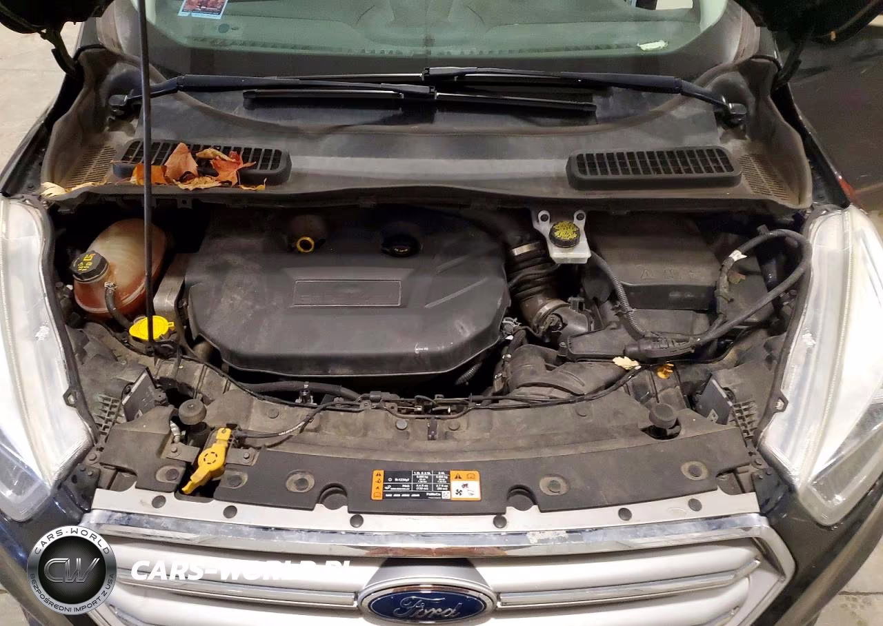 2017 Ford Escape Titanium VIN:1FMCU9J95HUA14625 - 12