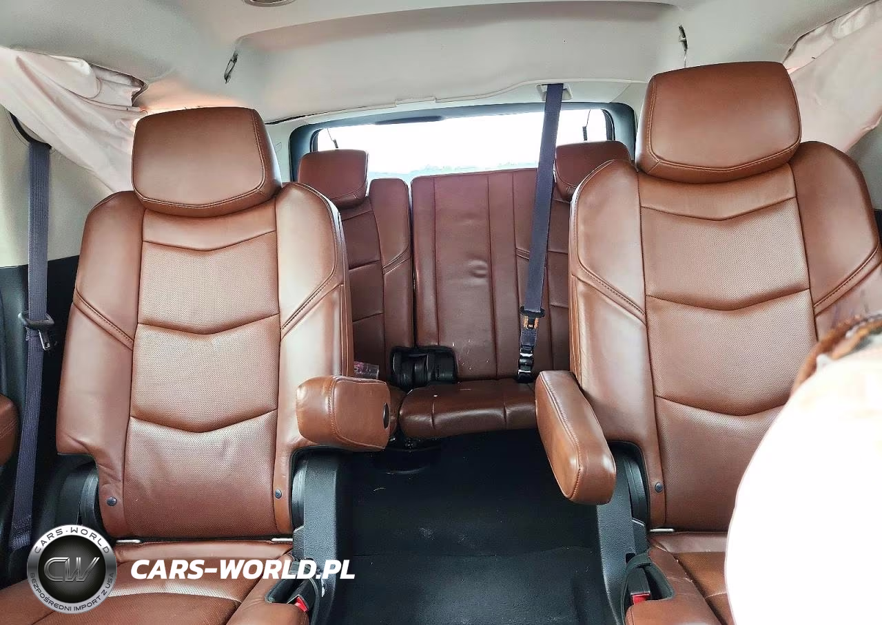 2015 Cadillac Escalade Premium VIN:1GYS4CKJ1FR260460 - 10