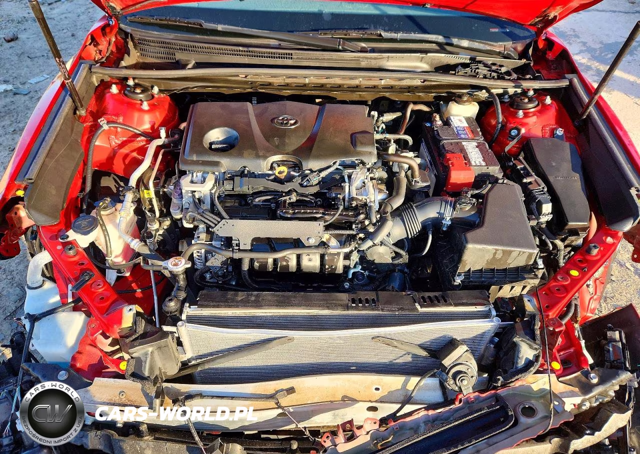 2019 Toyota Camry Se VIN:4T1B11HK5KU289546 - 11