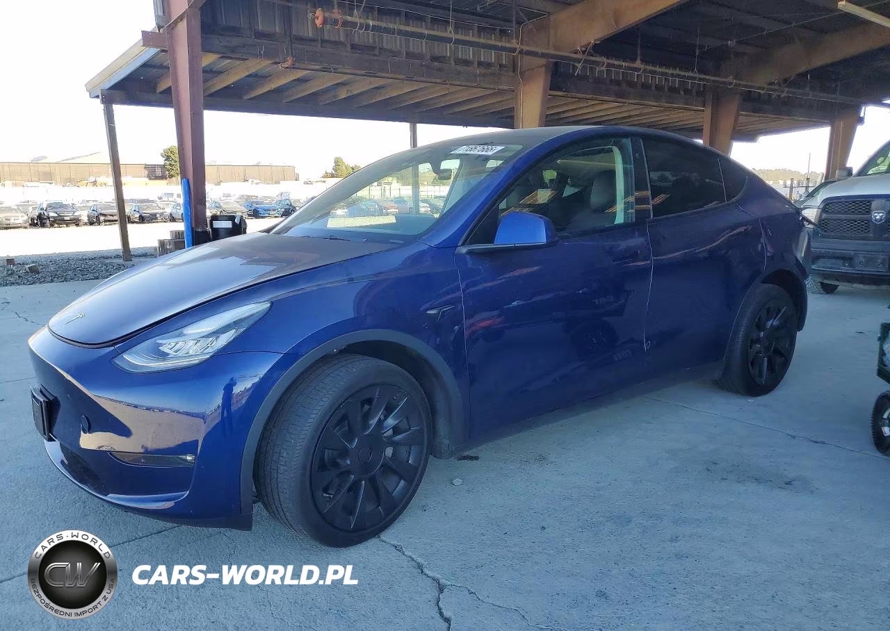 2023 Tesla Model Y VIN:7SAYGDEE8PF594586 - 1
