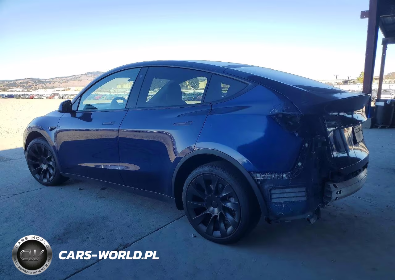 2023 Tesla Model Y VIN:7SAYGDEE8PF594586 - 2