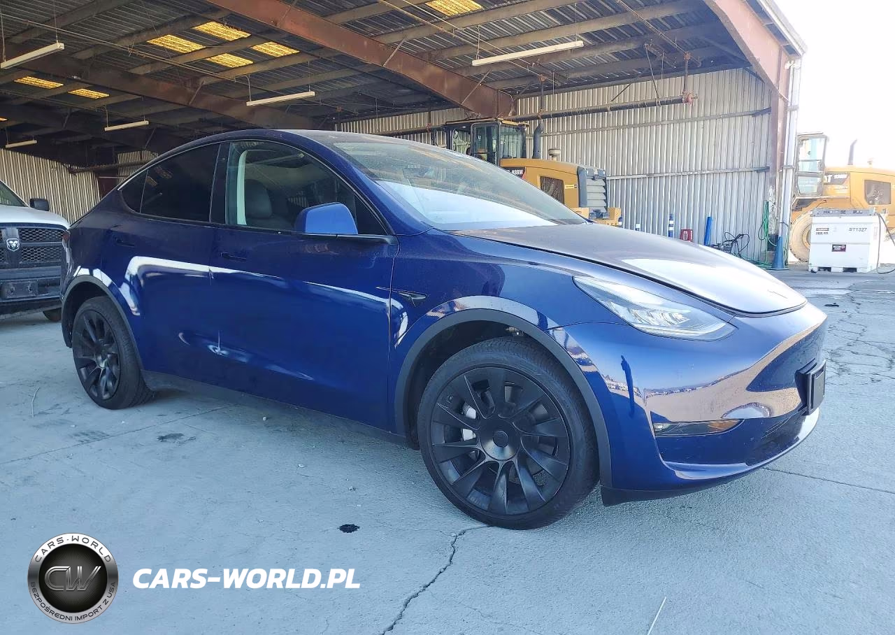 2023 Tesla Model Y VIN:7SAYGDEE8PF594586 - 4